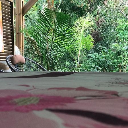 Le Lambablanc Bed & Breakfast Bras-Panon ภายนอก รูปภาพ