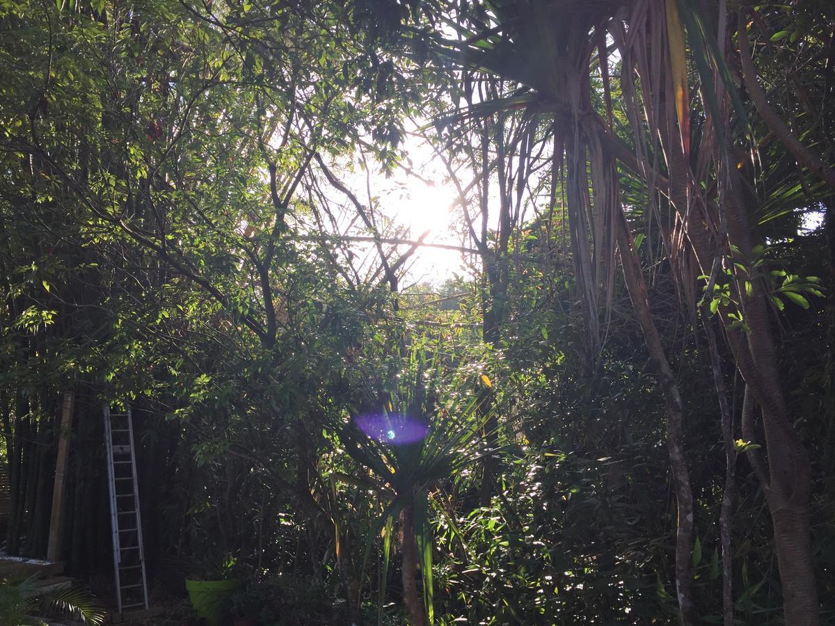 Le Lambablanc Bed & Breakfast Bras-Panon ภายนอก รูปภาพ