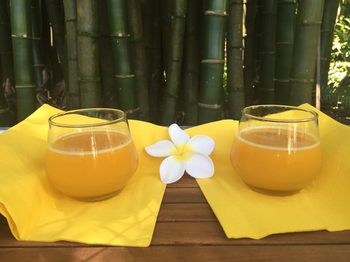 Le Lambablanc Bed & Breakfast Bras-Panon ภายนอก รูปภาพ