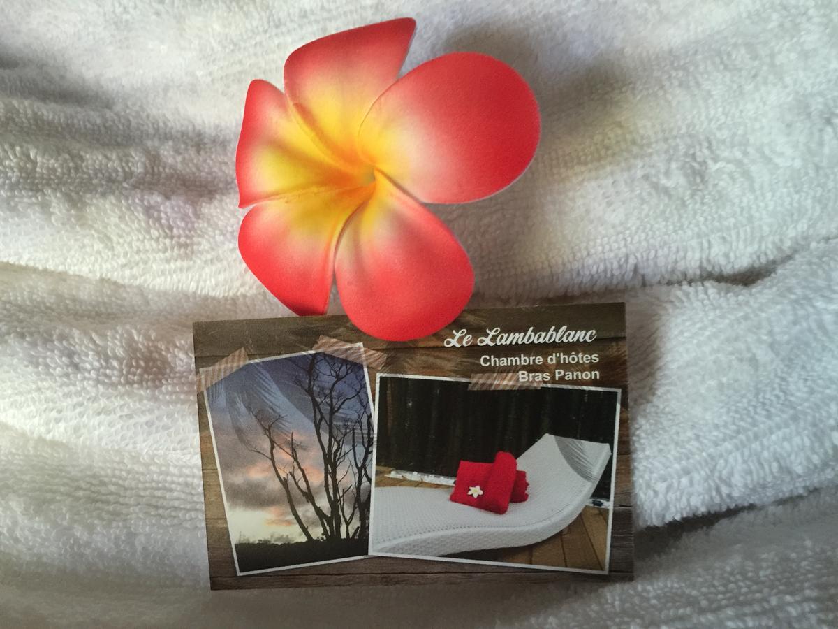 Le Lambablanc Bed & Breakfast Bras-Panon ภายนอก รูปภาพ